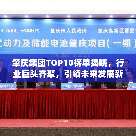 肇庆集团TOP10榜单揭晓，行业巨头齐聚，引领未来发展新篇章