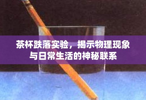 茶杯跌落实验，揭示物理现象与日常生活的神秘联系