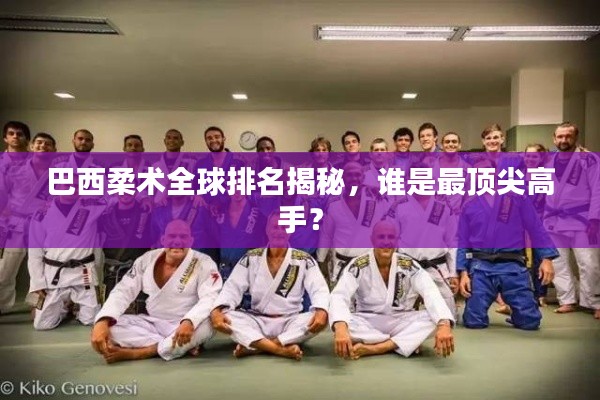 巴西柔术全球排名揭秘，谁是最顶尖高手？