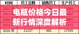 电瓶价格今日最新行情深度解析