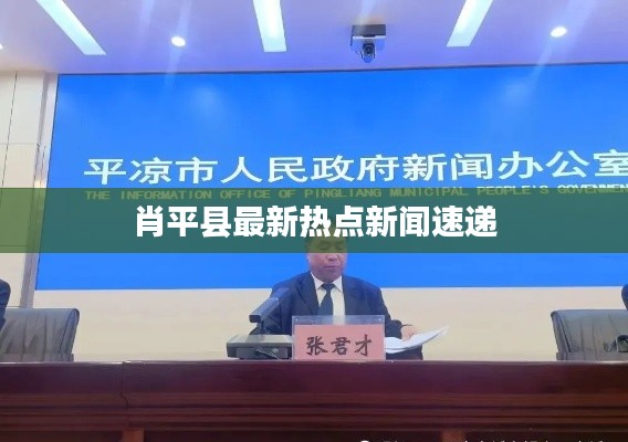 肖平县最新热点新闻速递