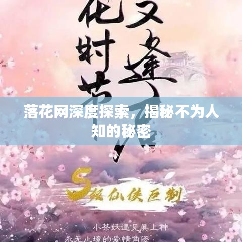 落花网深度探索，揭秘不为人知的秘密