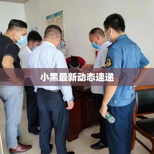 小黑最新动态速递