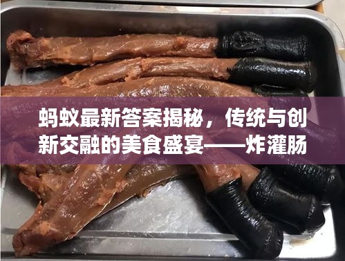 蚂蚁最新答案揭秘，传统与创新交融的美食盛宴——炸灌肠体验