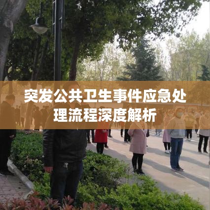 突发公共卫生事件应急处理流程深度解析