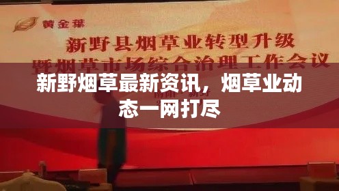 新野烟草最新资讯，烟草业动态一网打尽